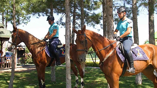 Elazığ'da 'Atlı Jandarma Timi' göreve başladı