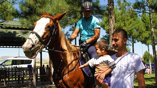 Elazığ'da 'Atlı Jandarma Timi' göreve başladı