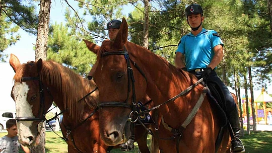 Elazığ'da 'Atlı Jandarma Timi' göreve başladı