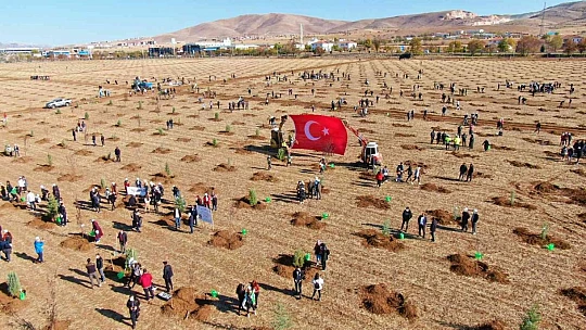 Elazığ'da 'Geleceğe Nefes Dünyaya Nefes' etkinliğinde 23 bin fidan toprakla buluştu