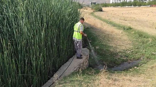 Elazığ'da  ilaçlama çalışmaları sürüyor