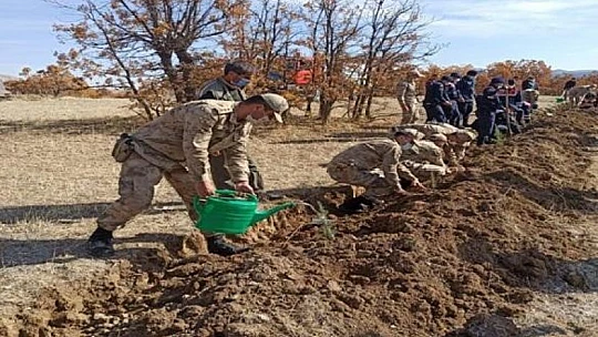 Elazığ'da  jandarma ekipleri bir günde 8 bin 300 fidan dikti