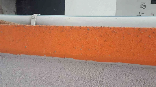 Elazığ'da 'yaprak biti' bahçe ve evleri sardı, ekipler çalışma başlattı