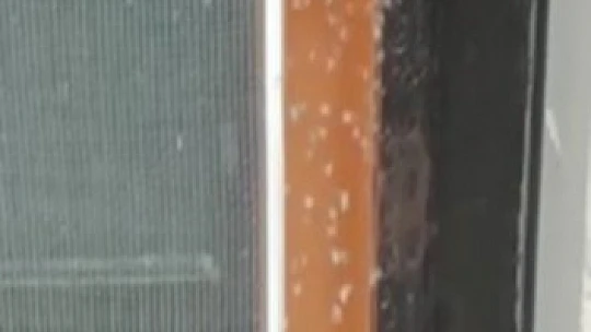 Elazığ'da 'yaprak biti' bahçe ve evleri sardı, ekipler çalışma başlattı