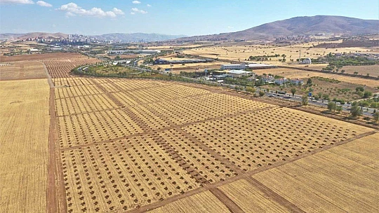 Elazığ'da 100 hektarlık alanda 46 bin adet fidan dikilecek