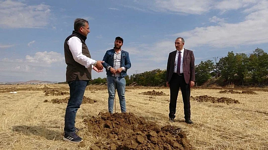 Elazığ'da 100 hektarlık alanda 46 bin adet fidan dikilecek