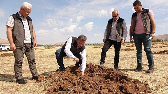 Elazığ'da 100 hektarlık alanda 46 bin adet fidan dikilecek