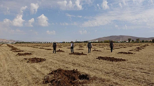 Elazığ'da 100 hektarlık alanda 46 bin adet fidan dikilecek