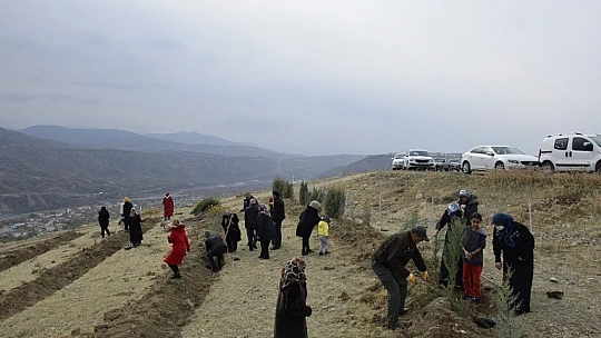 Elazığ'da 12 bin fidan toprakla buluştu