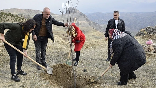 Elazığ'da 12 bin fidan toprakla buluştu