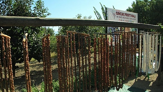 Elazığ'da 14. Bağ Bozumu ve Orcik Festivali