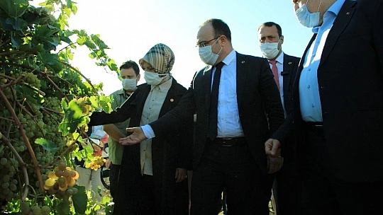 Elazığ'da 14. Bağ Bozumu ve Orcik Festivali