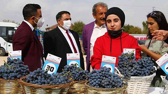 Elazığ'da 15. Bağ Bozumu ve Orcik Festivali başladı