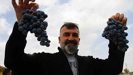 Elazığ'da 15. Bağ Bozumu ve Orcik Festivali başladı