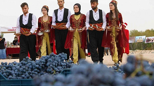 Elazığ'da 15. Bağ Bozumu ve Orcik Festivali başladı