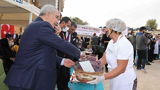 Elazığ'da 15. Bağ Bozumu ve Orcik Festivali başladı