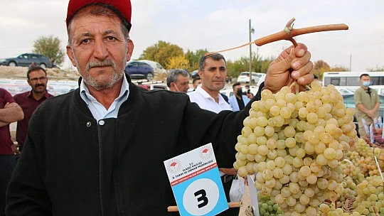 Elazığ'da 15. Bağ Bozumu ve Orcik Festivali başladı