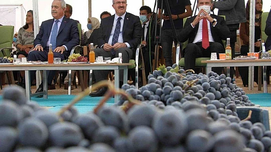 Elazığ'da 15. Bağ Bozumu ve Orcik Festivali başladı