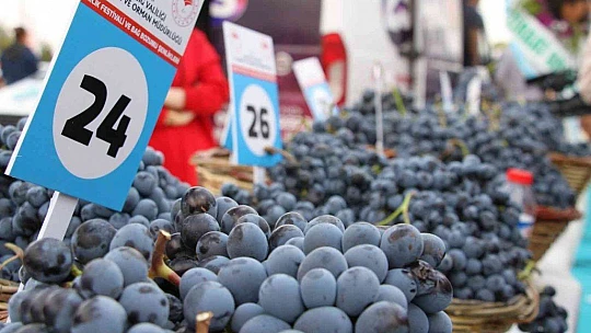 Elazığ'da 15. Bağ Bozumu ve Orcik Festivali başladı