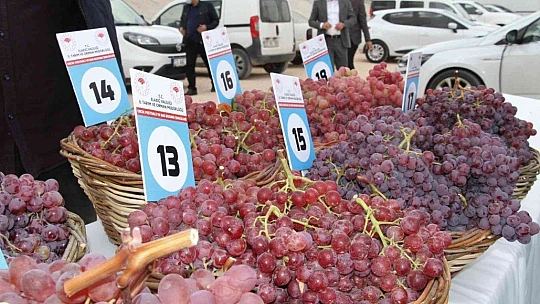 Elazığ'da 15. Bağ Bozumu ve Orcik Festivali başladı