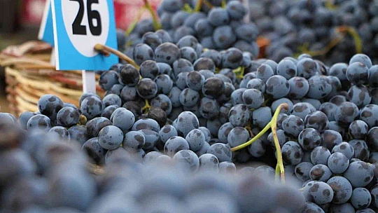 Elazığ'da 15. Bağ Bozumu ve Orcik Festivali başladı