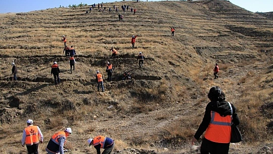 Elazığ'da 15 bin fidan toprakla buluştu