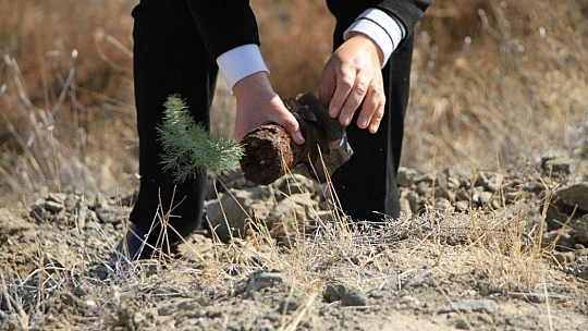 Elazığ'da 15 bin fidan toprakla buluştu