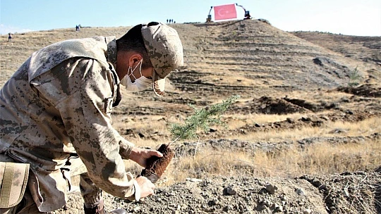Elazığ'da 15 bin fidan toprakla buluştu