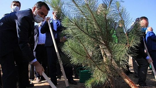 Elazığ'da 15 bin fidan toprakla buluştu