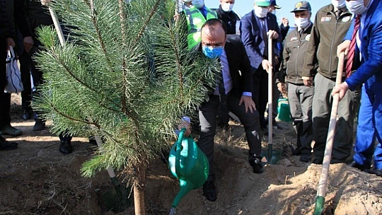 Elazığ'da 15 bin fidan toprakla buluştu
