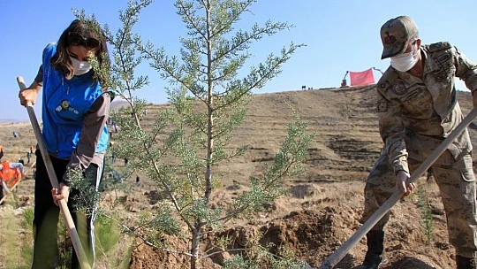 Elazığ'da 15 bin fidan toprakla buluştu