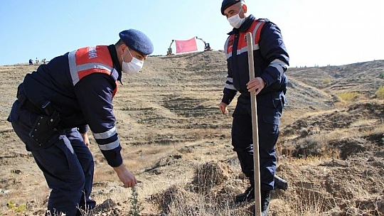 Elazığ'da 15 bin fidan toprakla buluştu