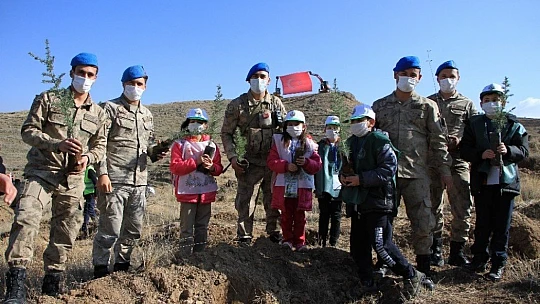 Elazığ'da 15 bin fidan toprakla buluştu