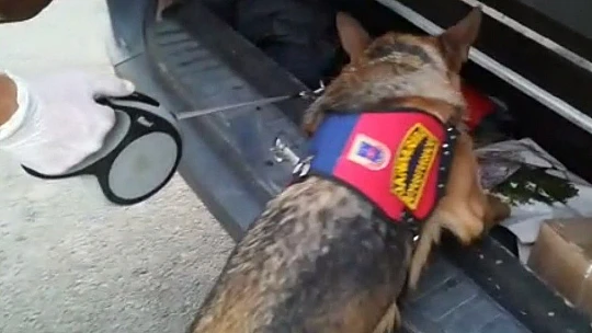 Elazığ'da 2 kilo 250 gram esrarla yakalanan şüpheli tutuklandı