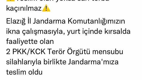 Elazığ'da 2 terörist silahlarıyla birlikte teslim oldu