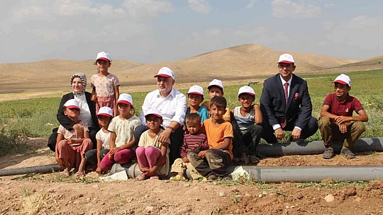 Elazığ'da 20 bin dekar alanda domates hasadı sürüyor
