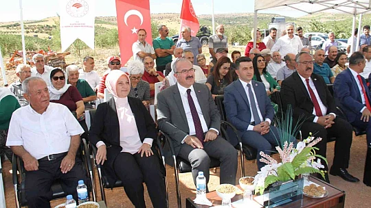 Elazığ'da 20 bin dönümlük alanda badem hasadı başladı