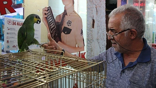Elazığ'da 20 kelime söyleyen papağan ilgi görüyor