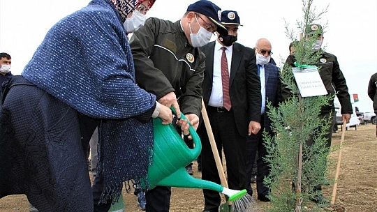 Elazığ'da 223 bin fidan toprakla buluşuyor, ilk fidanlar dikildi
