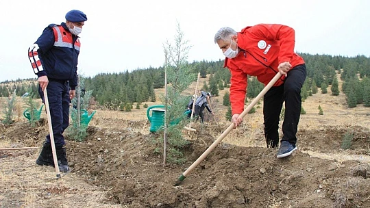 Elazığ'da 223 bin fidan toprakla buluşuyor, ilk fidanlar dikildi