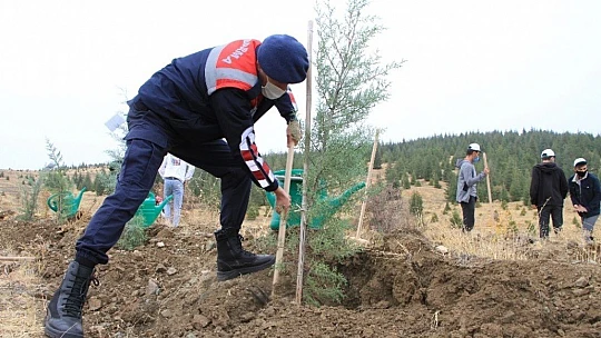 Elazığ'da 223 bin fidan toprakla buluşuyor, ilk fidanlar dikildi