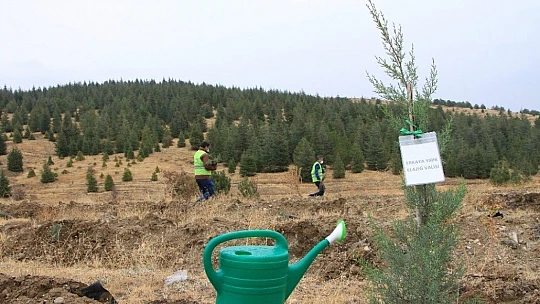 Elazığ'da 223 bin fidan toprakla buluşuyor, ilk fidanlar dikildi