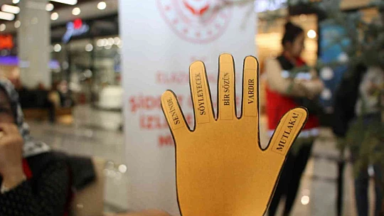 Elazığ'da 25 Kasım Kadına Yönelik Şiddetle Mücadele Günü etkinliği