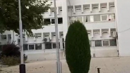 Elazığ'da 2,5 yaşındaki Mila'nın duygulandıran bayrak sevgisi