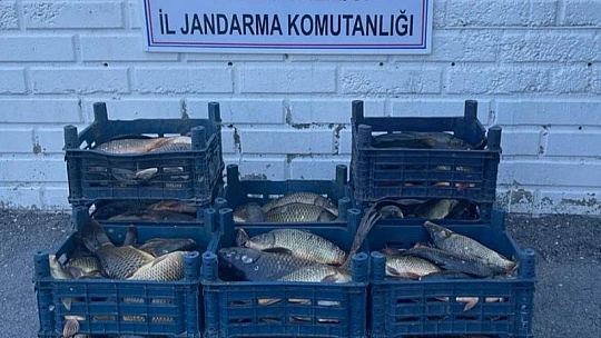 Elazığ'da 3 kaçak avcıya, 22 bin lira ceza kesildi