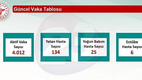 Elazığ'da 4 bin 12 aktif korona virüs vakası bulunuyor