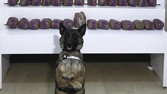 Elazığ'da 41 kilo 750 gram eroin ele geçirildi