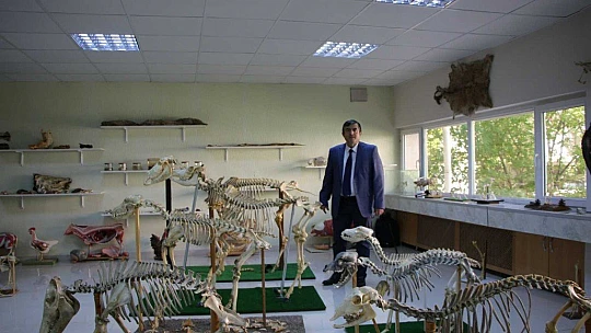 Elazığ'da 50 çeşit hayvanın anatomik yapısının bulunduğu müzede, Türkiye'de ilk olan zürafa iskeleti yer alıyor