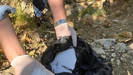 Elazığ'da 513 kök kenevir bitkisi ele geçirildi