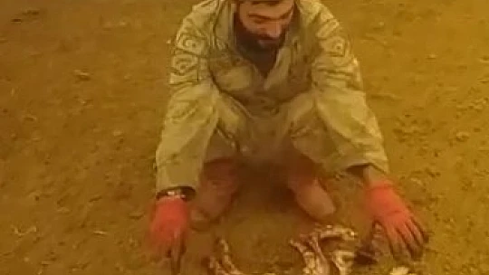 Elazığ'da 8 ayaklı kuzuyu görenler gözlerine inanamadı